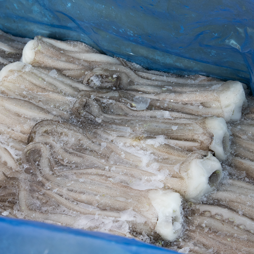 Squid_Tentacles_CD_Chef